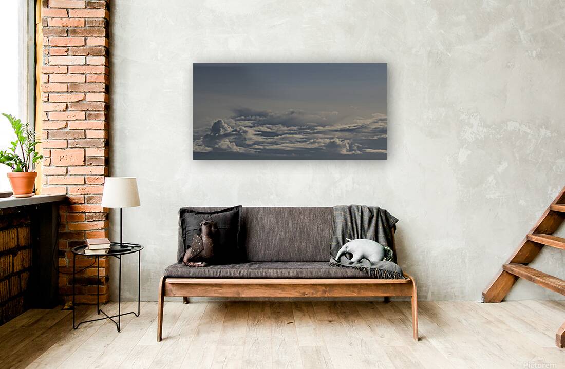 FS250329 CLOUDS Reproduction