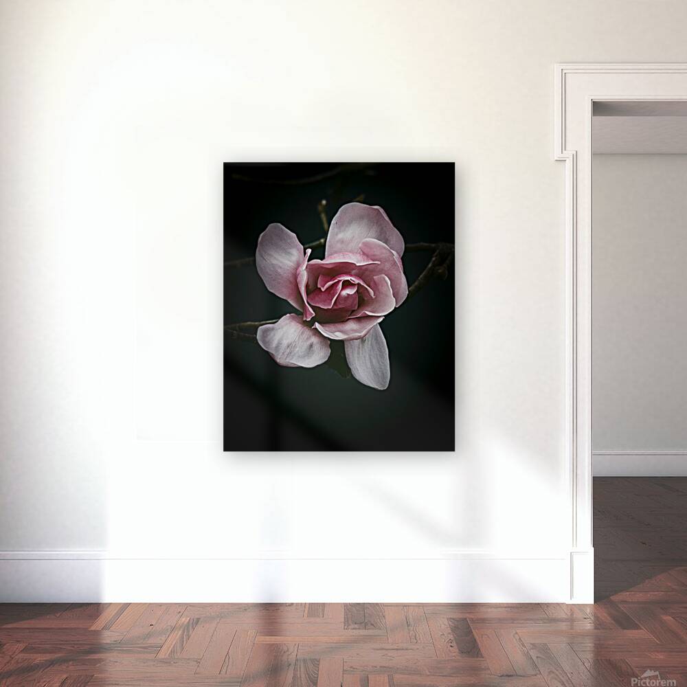 FS250402 SPRING FLOWER Reproduction
