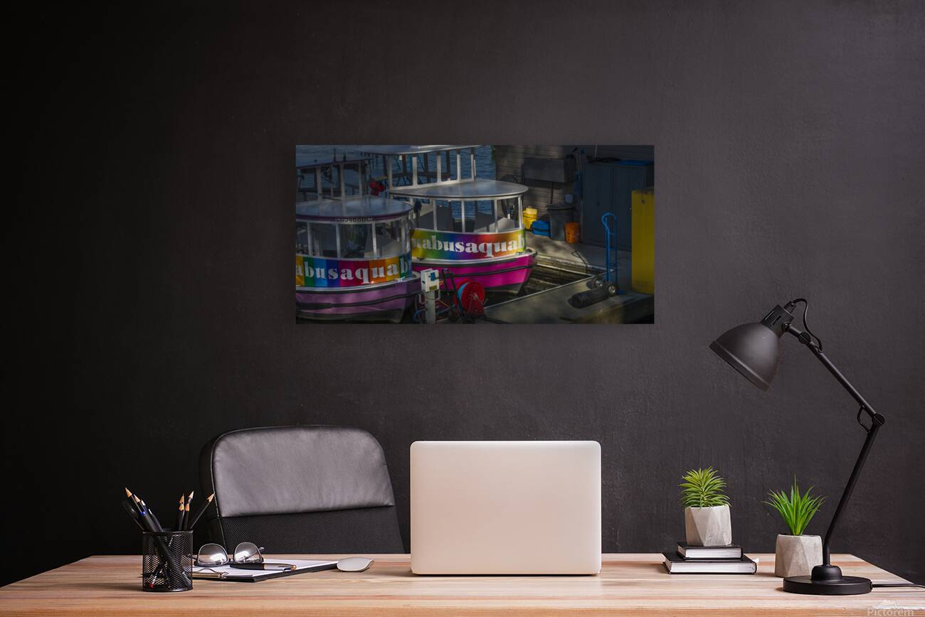 URBAN COLORS Reproduction