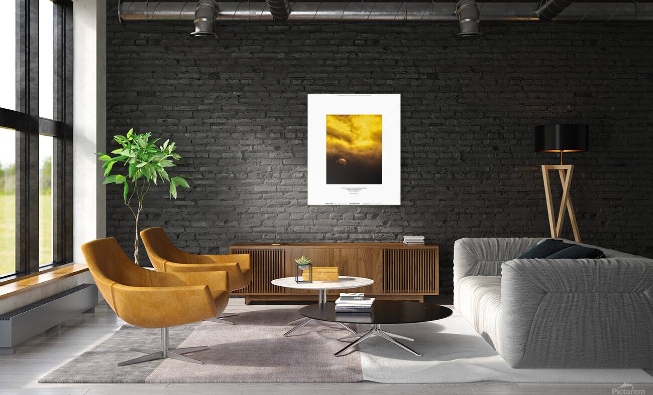 SEE IN DARKNESS Reproduction