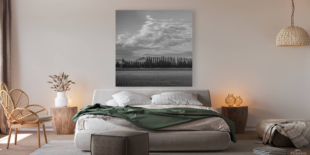 FS250528 CLOUDSCAPE Reproduction