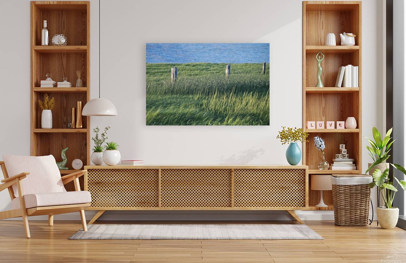 FS250607 GRASSES Reproduction