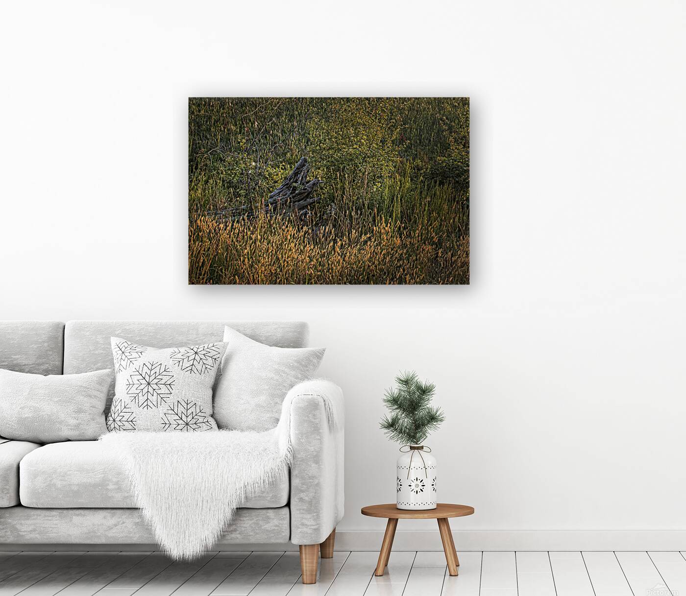 FS250618 DRIFTWOOD Reproduction