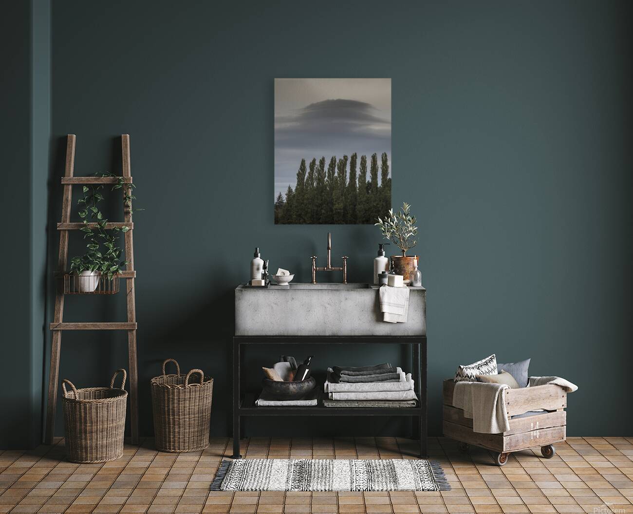 FS250920 CLOUDSCAPE Reproduction