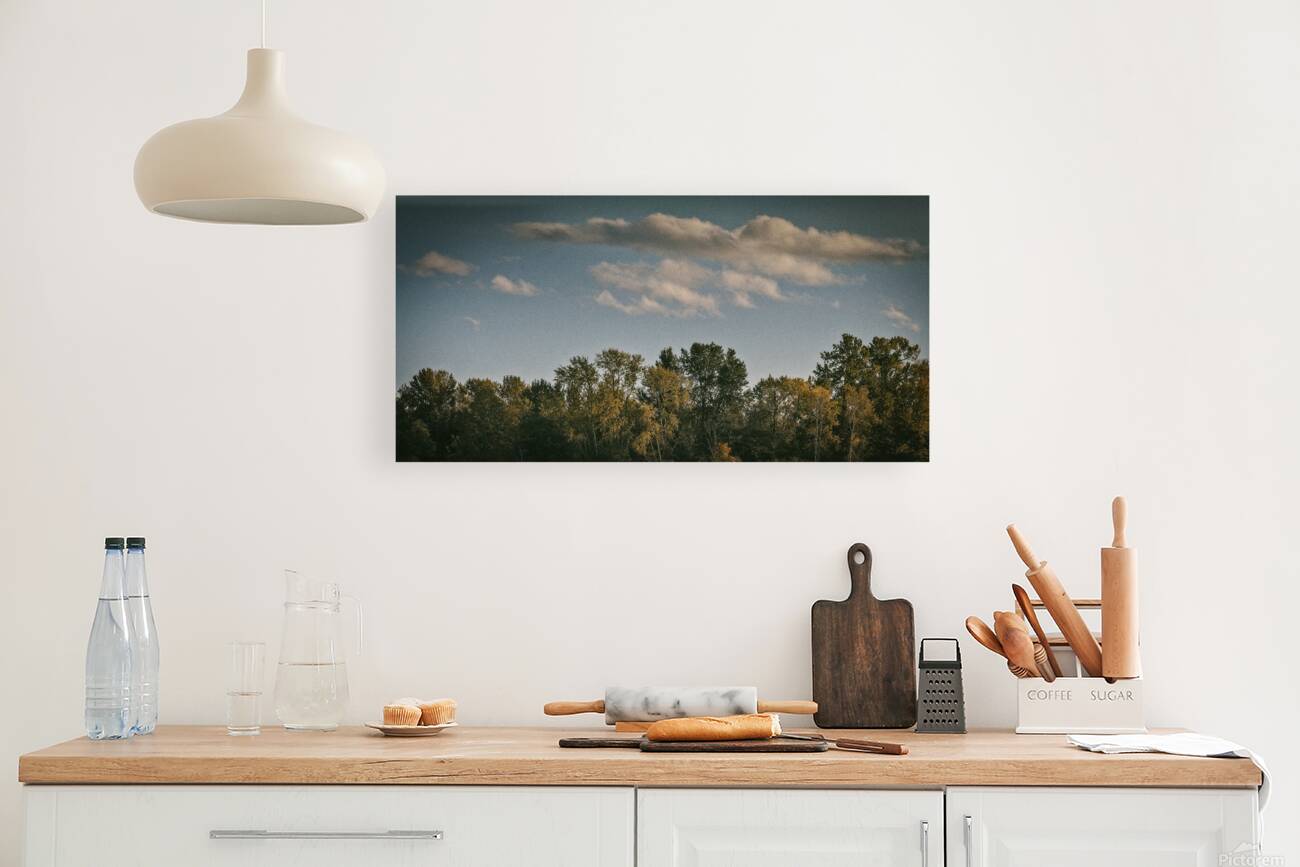 FS251022 CLOUDS Reproduction