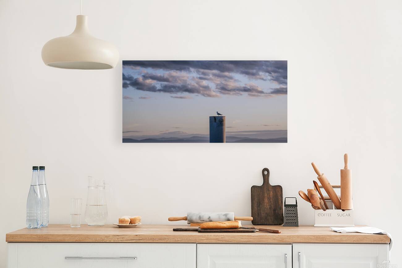 FS250925 CLOUDSCAPE 2025 Reproduction