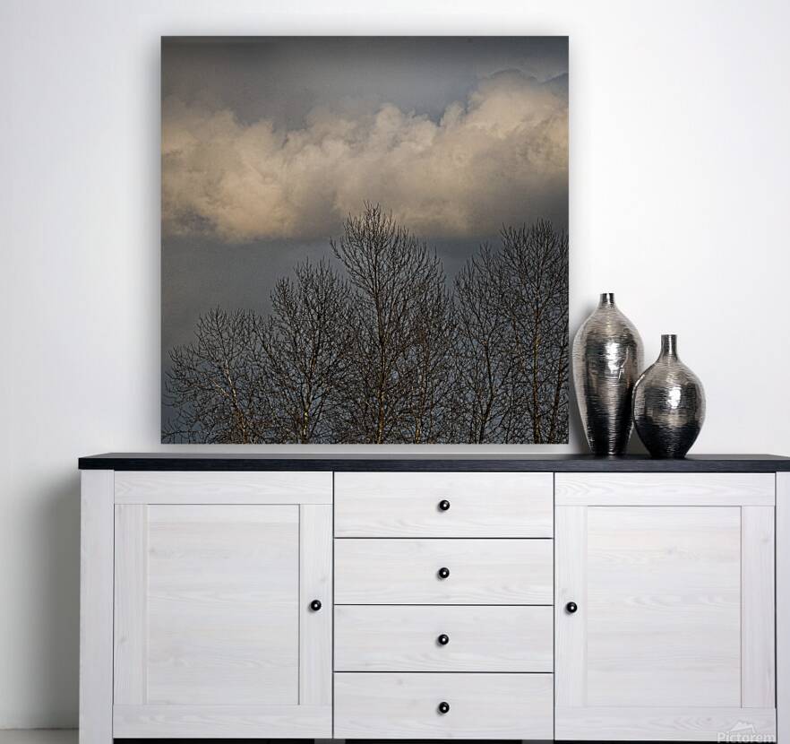 FS260308S2 CLOUDS Reproduction
