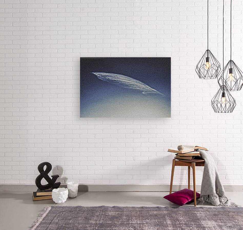 FS170727 PIXELATED FEATHER CLOUDS Reproduction