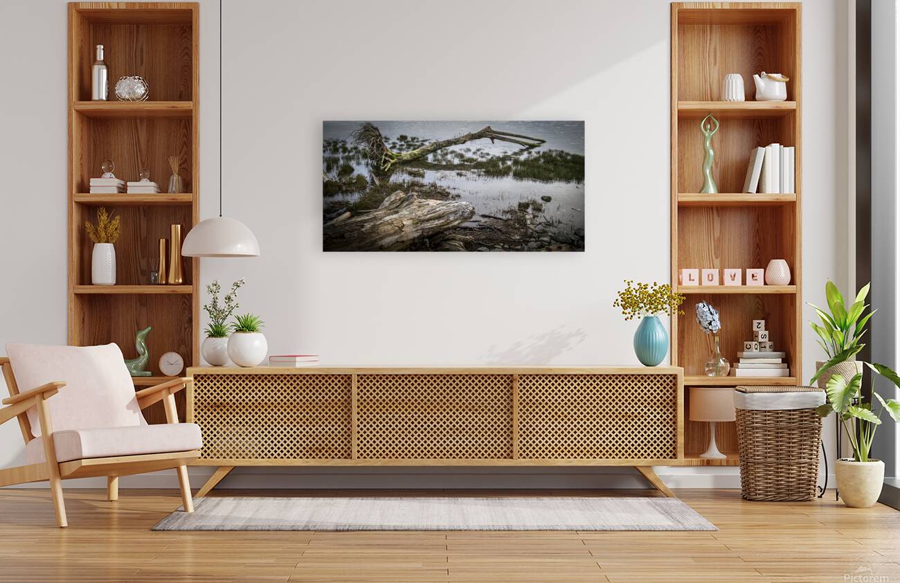 FS260331DW3 DRIFTWOOD Reproduction