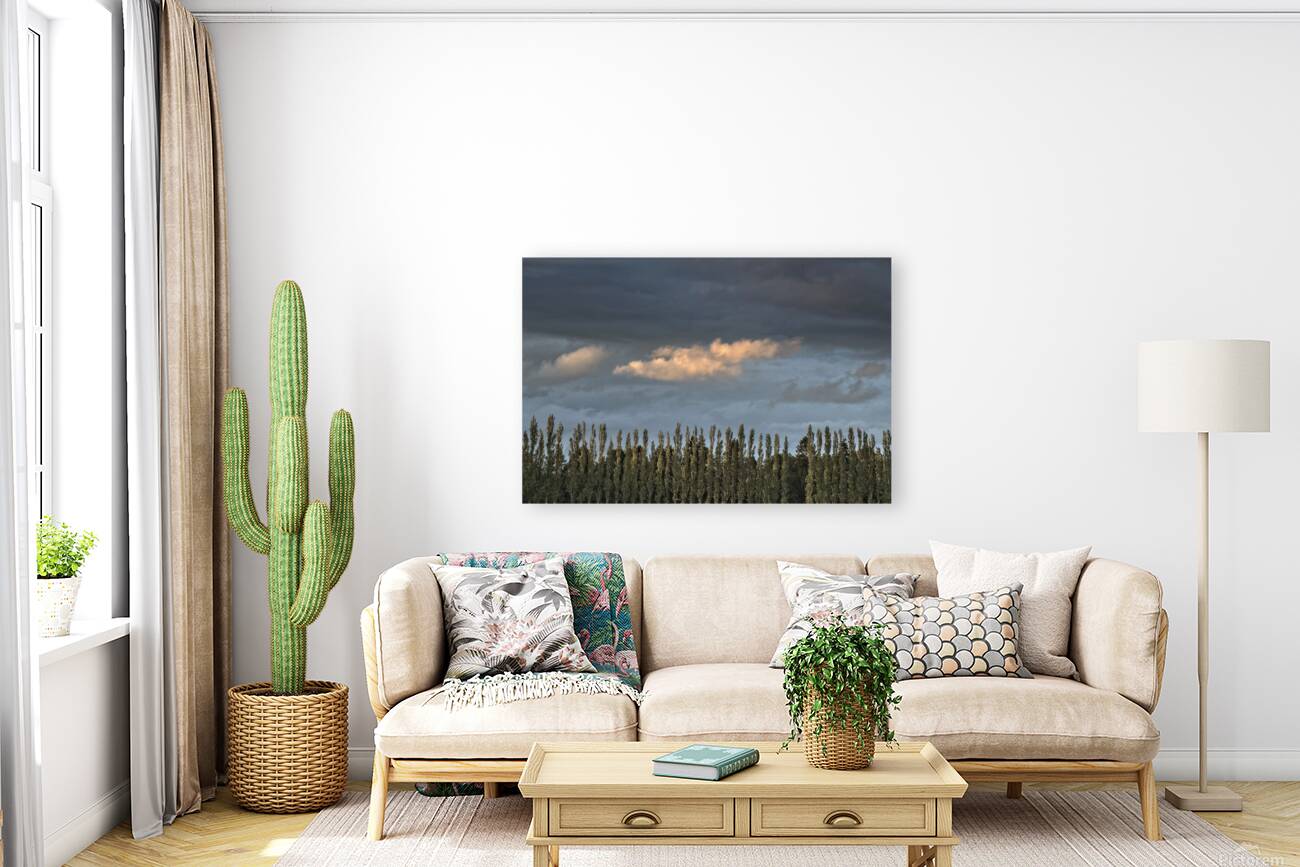 FS260515 02 CLOUDSCAPE Reproduction