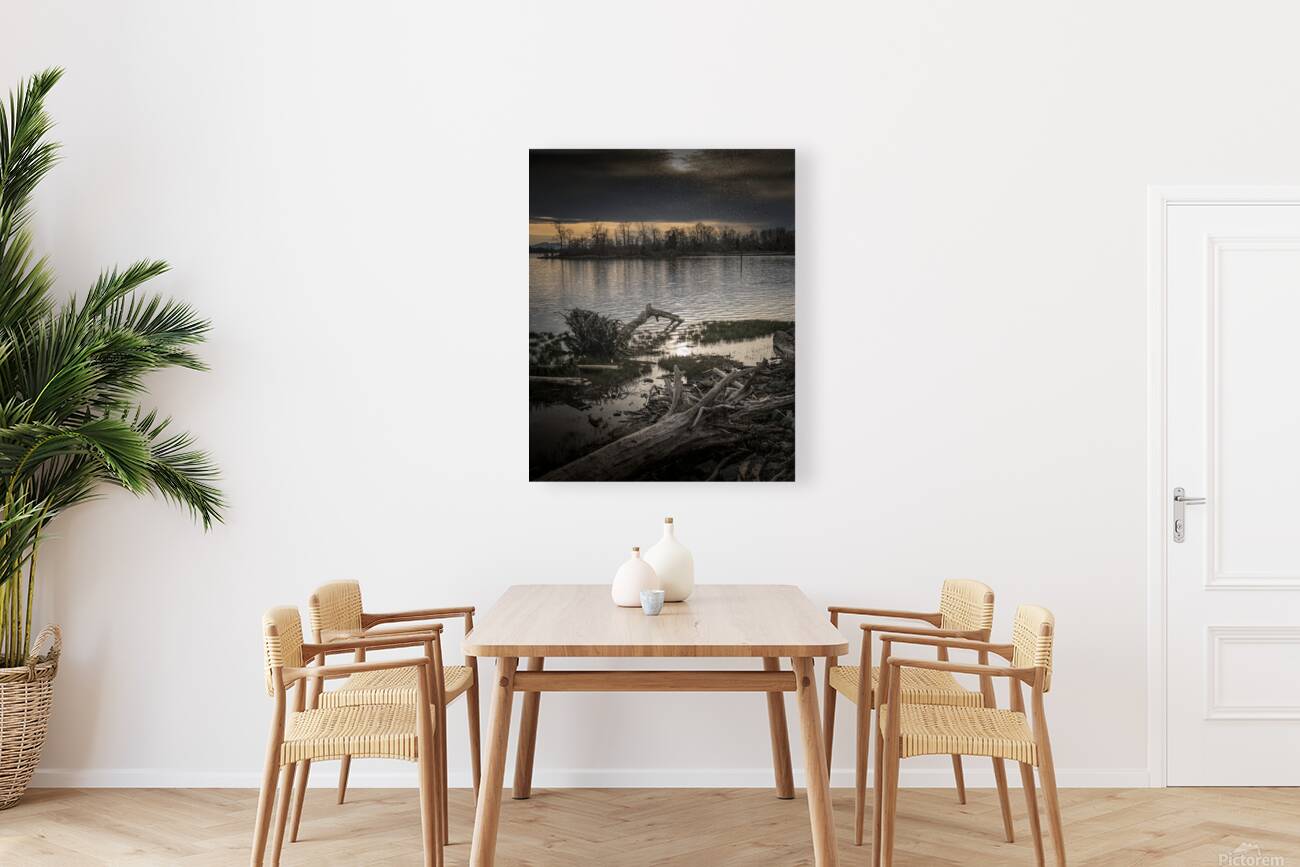FS260331A DRIFTWOOD Reproduction