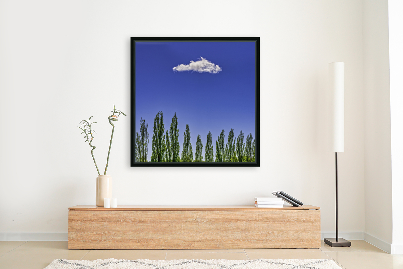 SUMMER SKY  Reproduction
