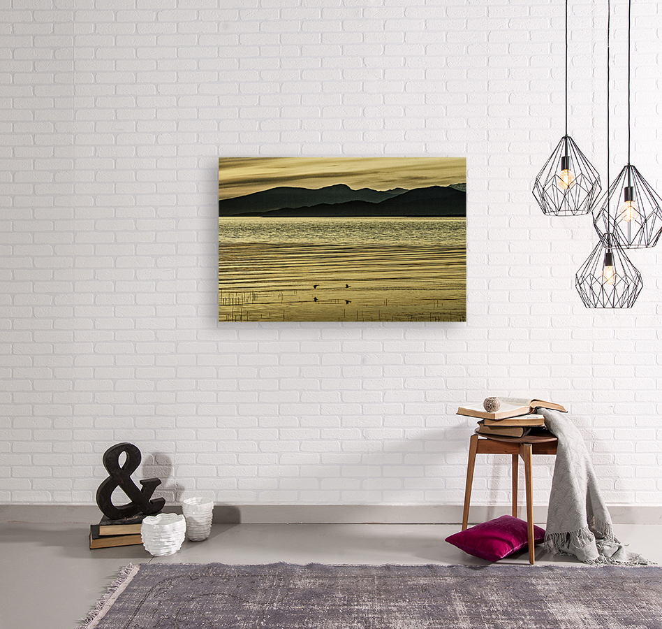 TERRA ROVA SUNSET Reproduction