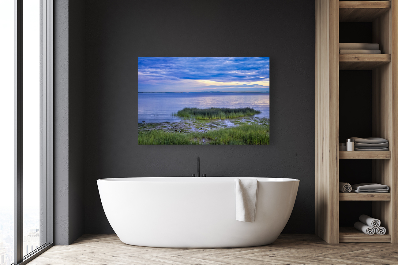 IONA BEACH Reproduction