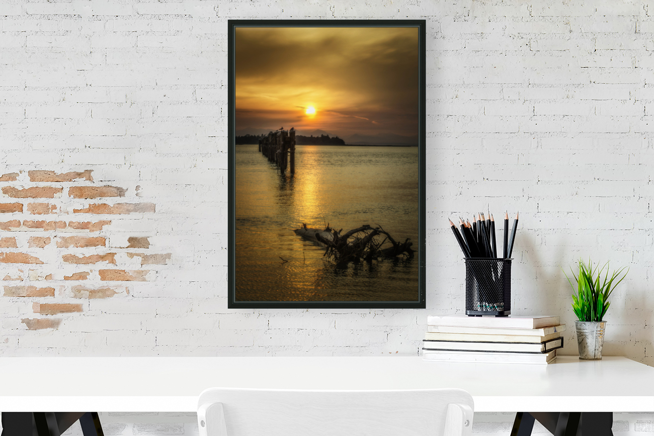 DRIFTWOOD 2022 Reproduction