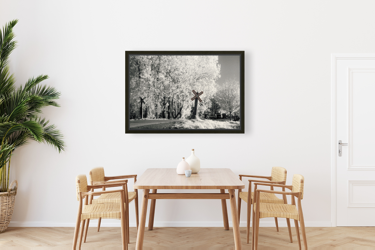 Infra red Reproduction