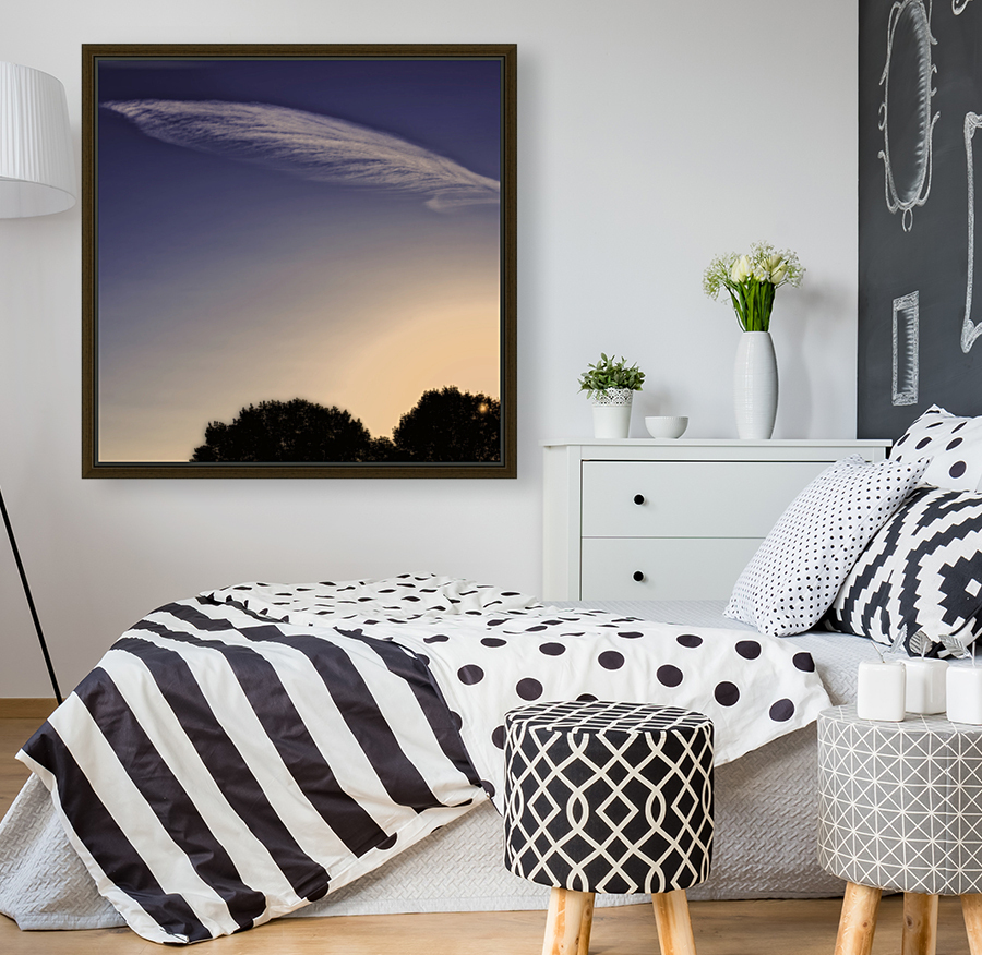 FEATHER CLOUDS Reproduction