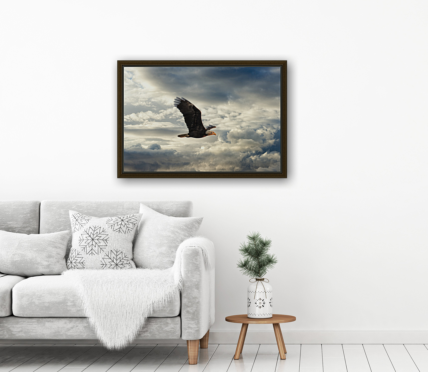 Bald Eagle Reproduction