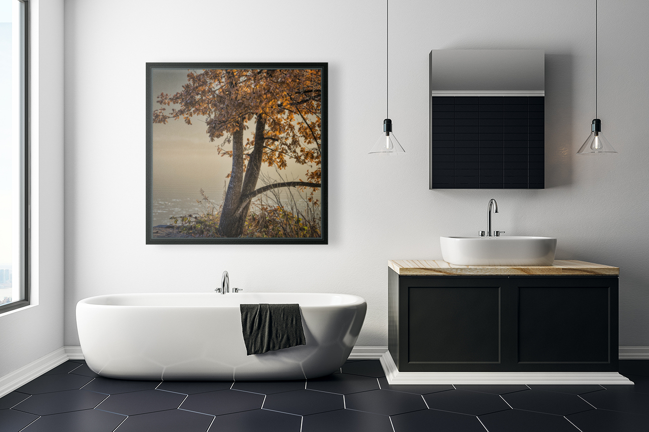 WINTER TREES Reproduction