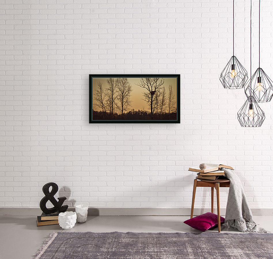 FS230129 Eagles Nest 2 Reproduction