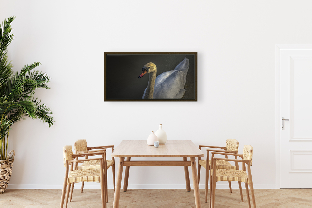 Swan 2021 Reproduction