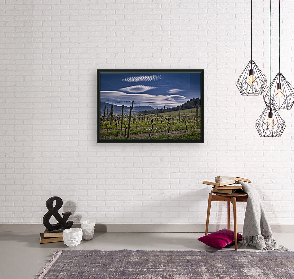 FS080518 VINEYARD Reproduction