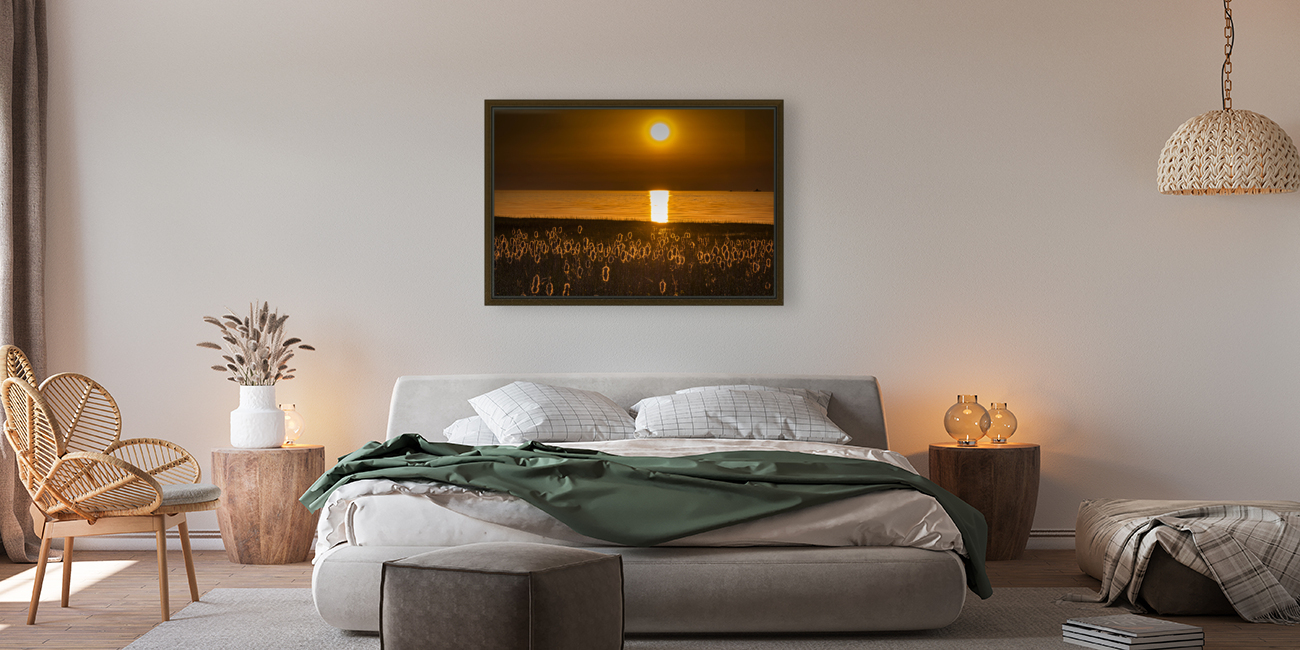 FS230607 BACKLIGHT Reproduction
