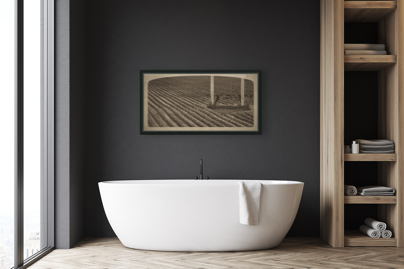 Cornfield Abumen Print Reproduction