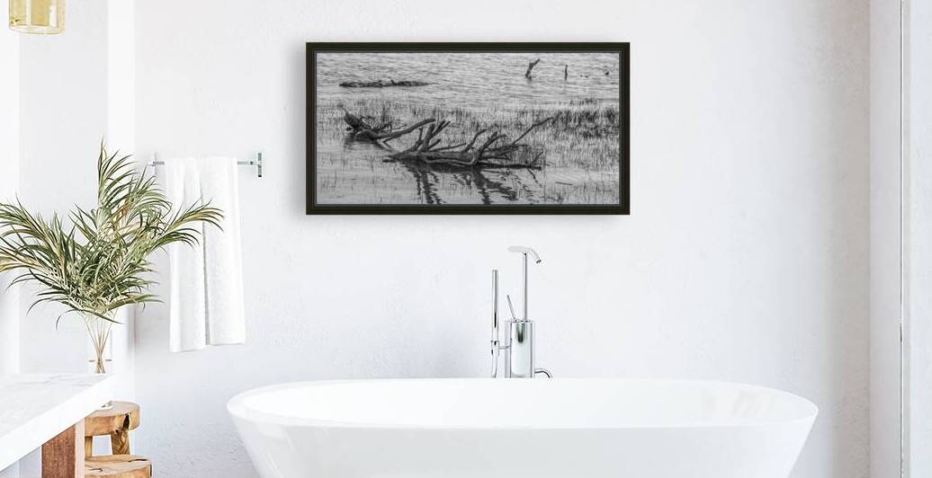 Fallen Trees in Water Reproduction