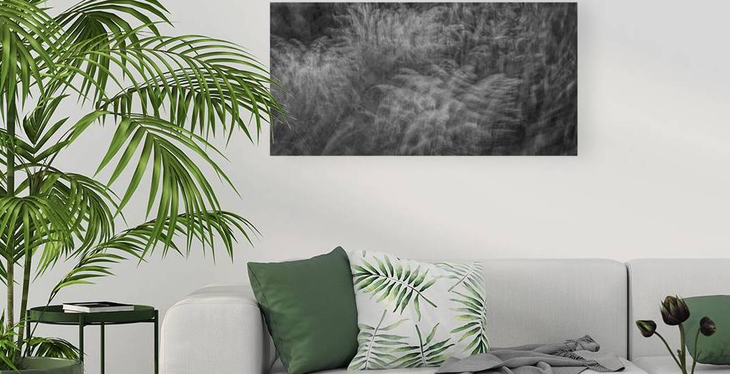 FS240816 WIND BLOWS by FOTOSQUARES COM