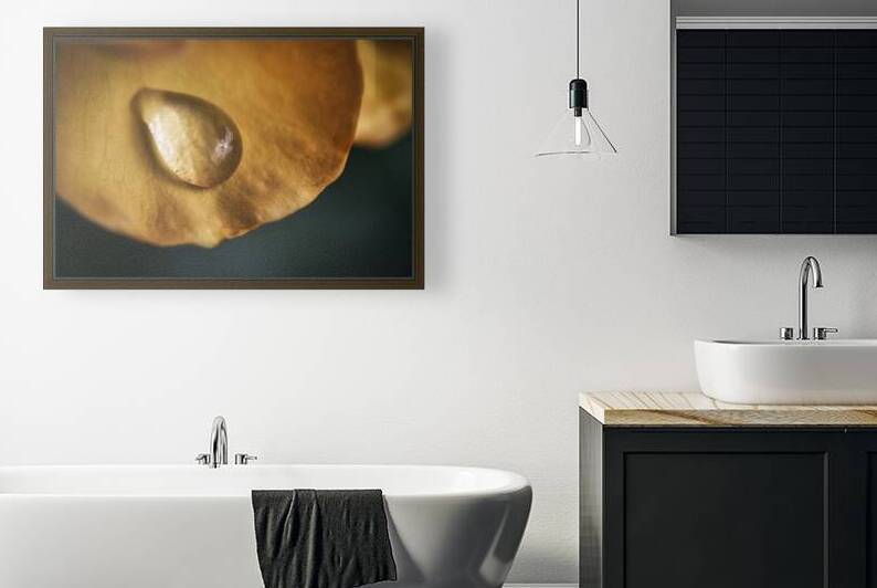 FS240818 Waterdrop 2024 by FOTOSQUARES COM