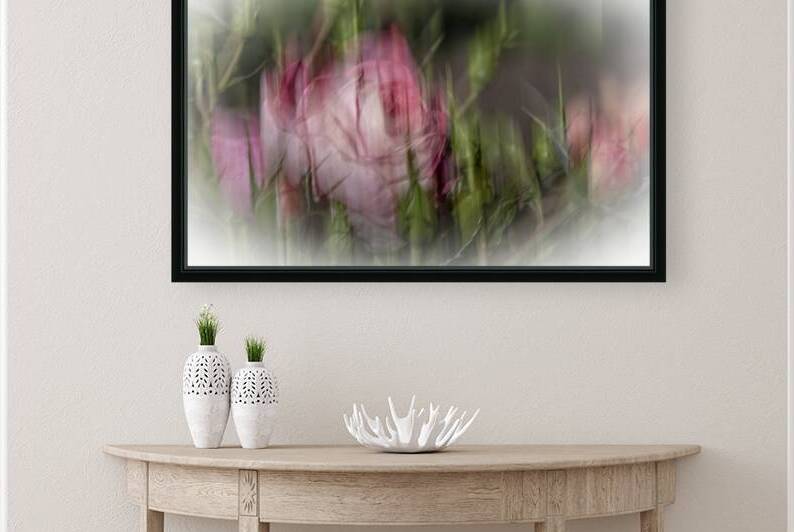 FS240825 ROSE Reproduction