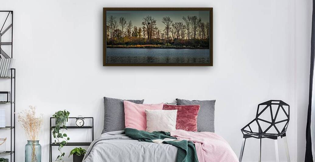 FS241022 EAGLE NEST Reproduction
