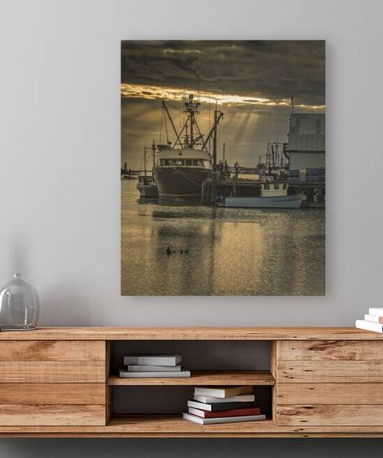 FS240617 STEVESTON 1 by FOTOSQUARES COM