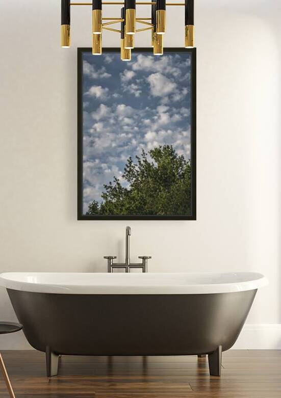 FS240802 CLOUDSCAPE Reproduction