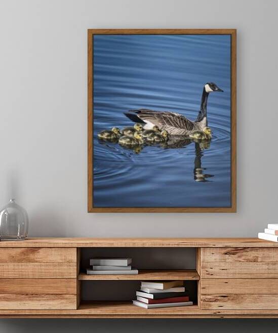 FS240422 MRS GOOSE FAMILY Reproduction