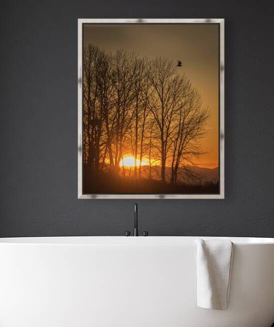 FS250118 SILHOUETTES Reproduction