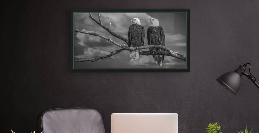 FS250211 EAGLES TWOGETHER BW Reproduction