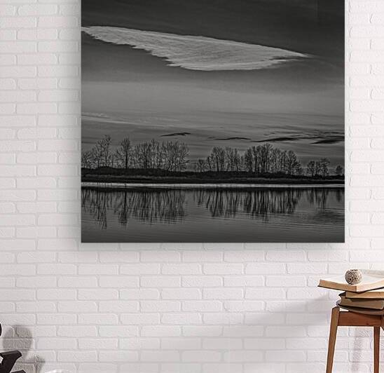 FS250121BA7  WHITE CLOUDS Reproduction