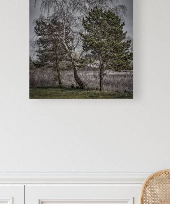 FS250326 THREE TREES 810 Reproduction