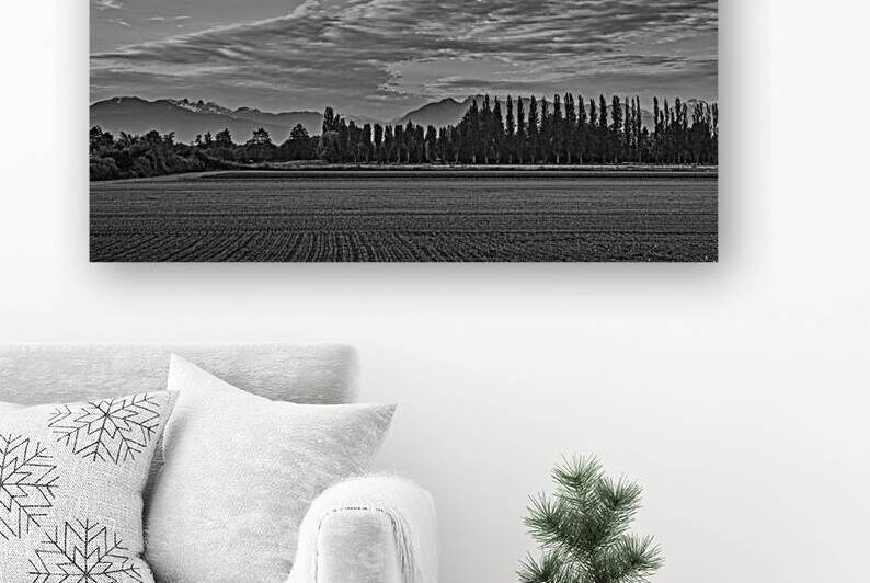 FS250528DW CLOUDSCAPE Reproduction