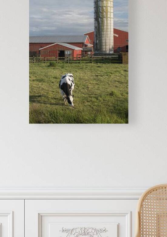 FS250531 FARM Reproduction