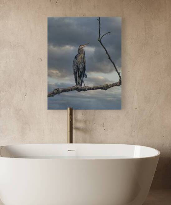 FS250730A HERON Reproduction
