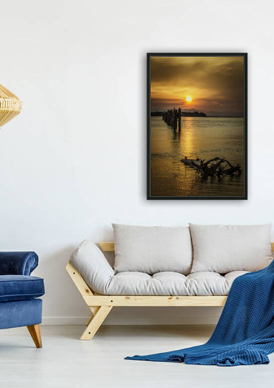 DRIFTWOOD 2022 Reproduction
