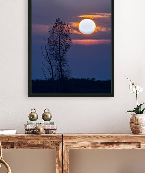 SETTING SUN 22 Reproduction