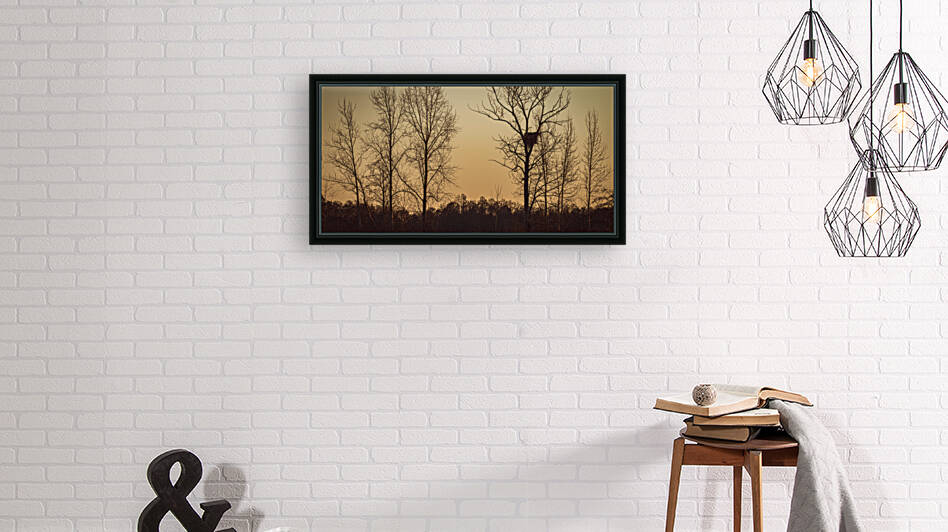 FS230129 Eagles Nest 2 Reproduction