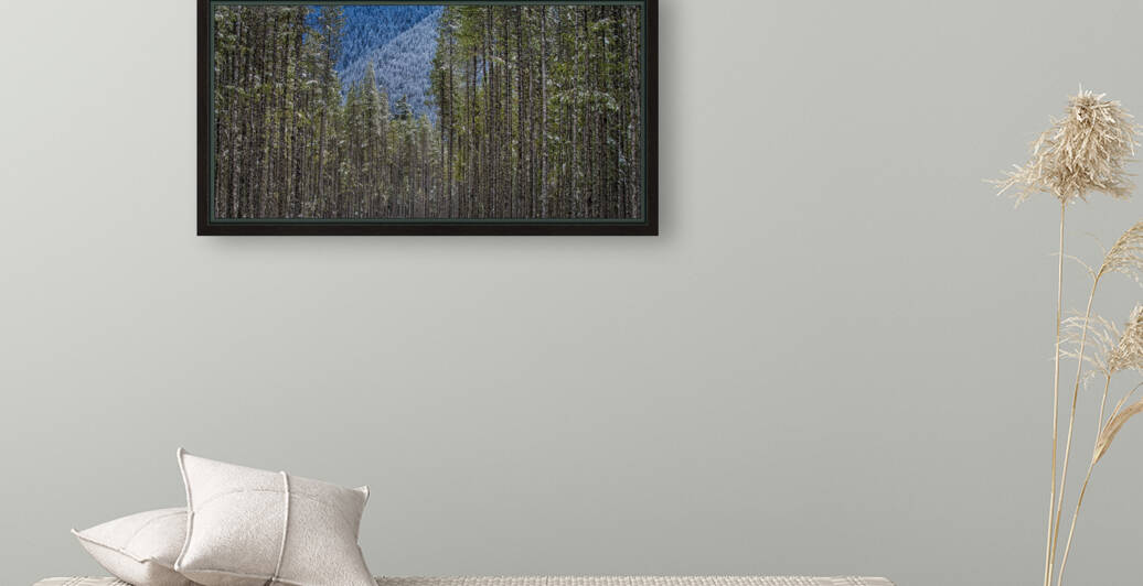 Chilliwack Lake Provincial Park by FOTOSQUARES COM