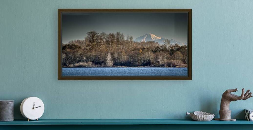 Mount Baker Reproduction