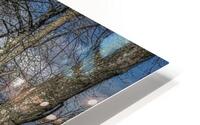 FS240207DW HD Metal print
