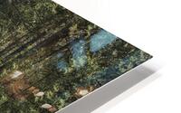 FS180417 Capilano HD Metal print
